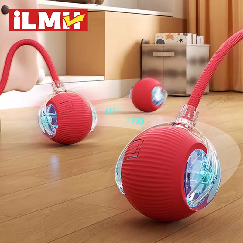 Interactive Rolling Ball for Cats & Dogs with Tail
