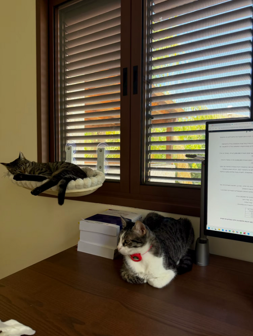 StateOfPaw customer photo