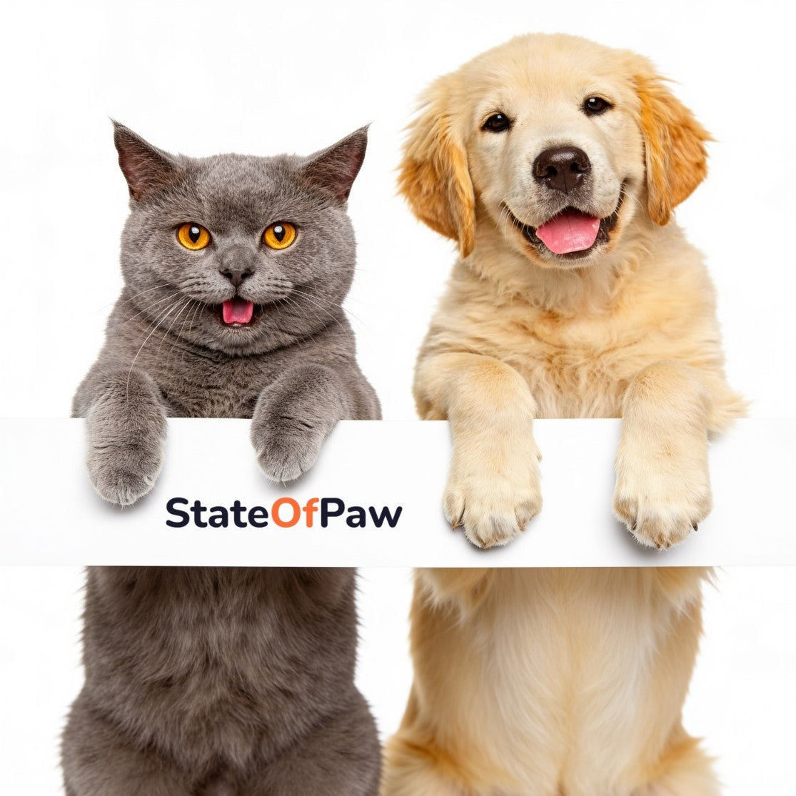 Life in a State of Paw